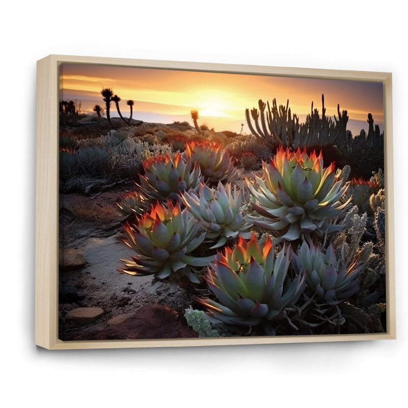 «Succulent Desert Cactus Field Burning Sunset III» - Art mural succulent, H 16 po x l 32 po x P 1 po, Cadre naturel flottant