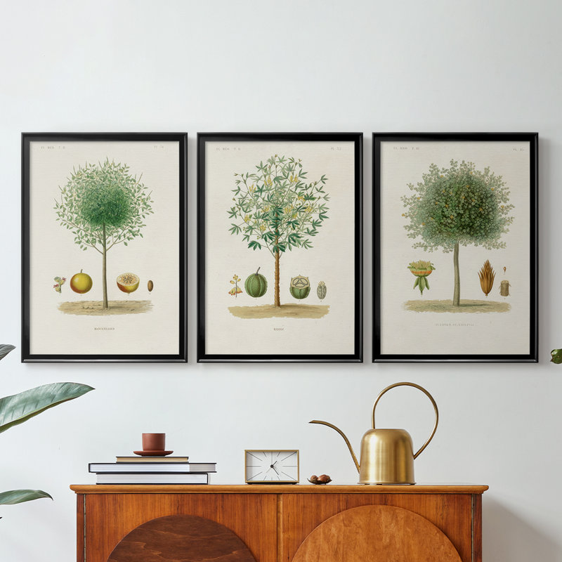 Arbre antique avec fruit VII - Toile tendue avec châssis sur mesure - 3 pièces, H 27 po x l 39 po, Noir