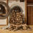 Machine Washable Persian Brown Area Rug-1227197592