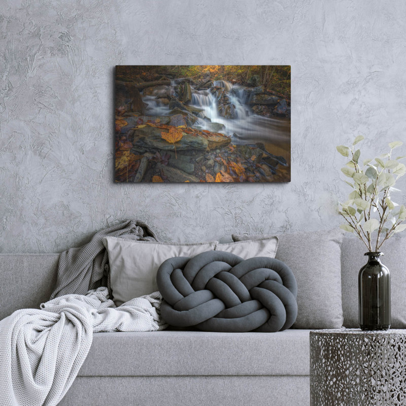 Mur en métal Millwood Pines «Fallen Leaf In Ricketts Glen» par Rick Berk, H 24 po x l 36 po