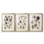 Seashell Array I - Impression personnalisée de qualité supérieure avec cadre mat - 3 pièces-1805300414-1805300413