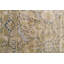 Oriental Area Rug