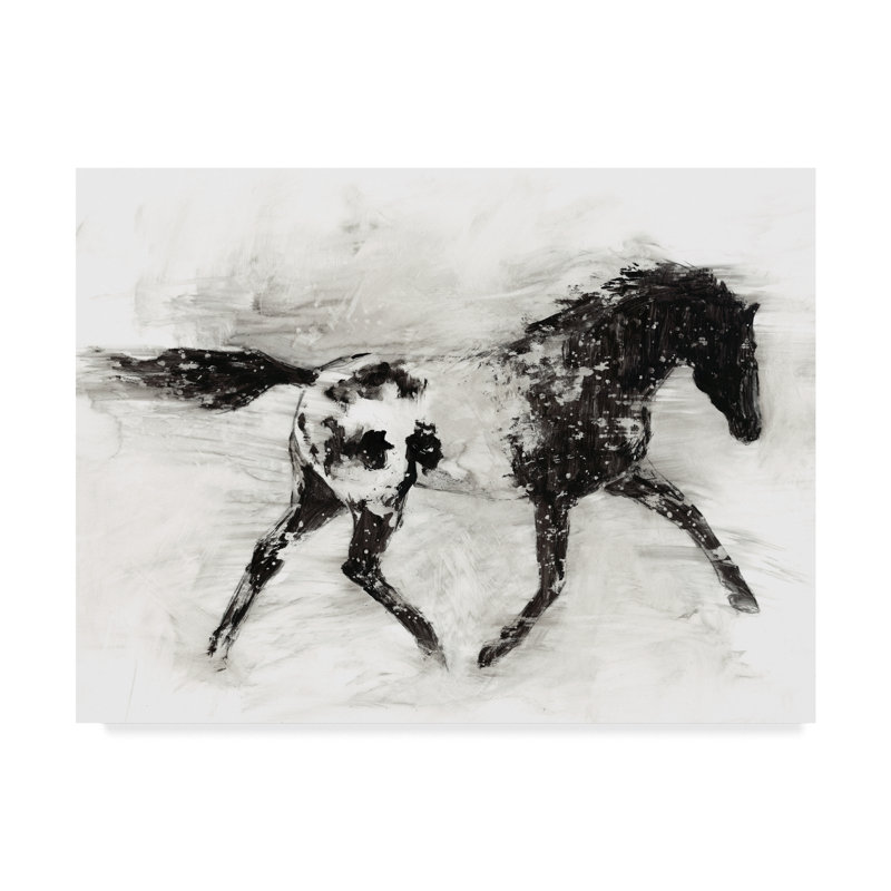 « rustique appaloosa i », reproduction de peinture à l’acrylique sur toile tendue, H 18 po x l 24 po x P 2 po