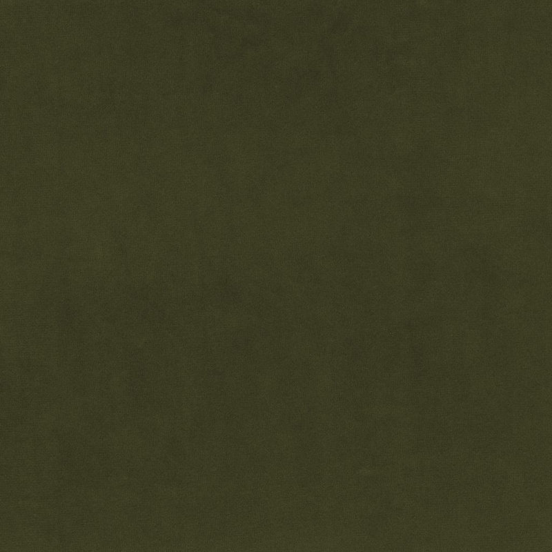 Tissu de velours de marque, Basilic