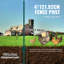 4 Feet Fence Post 10 Pack T-Post Heavy Duty Metal Fence Posts Green