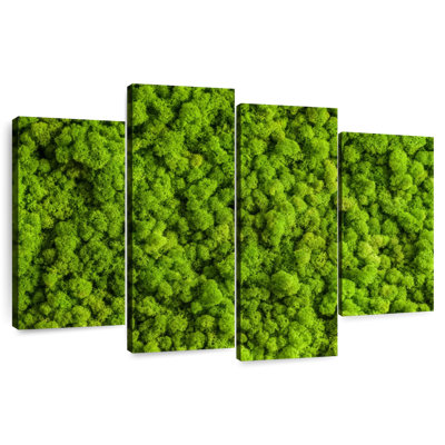 Harnek Green Reindeer Moss