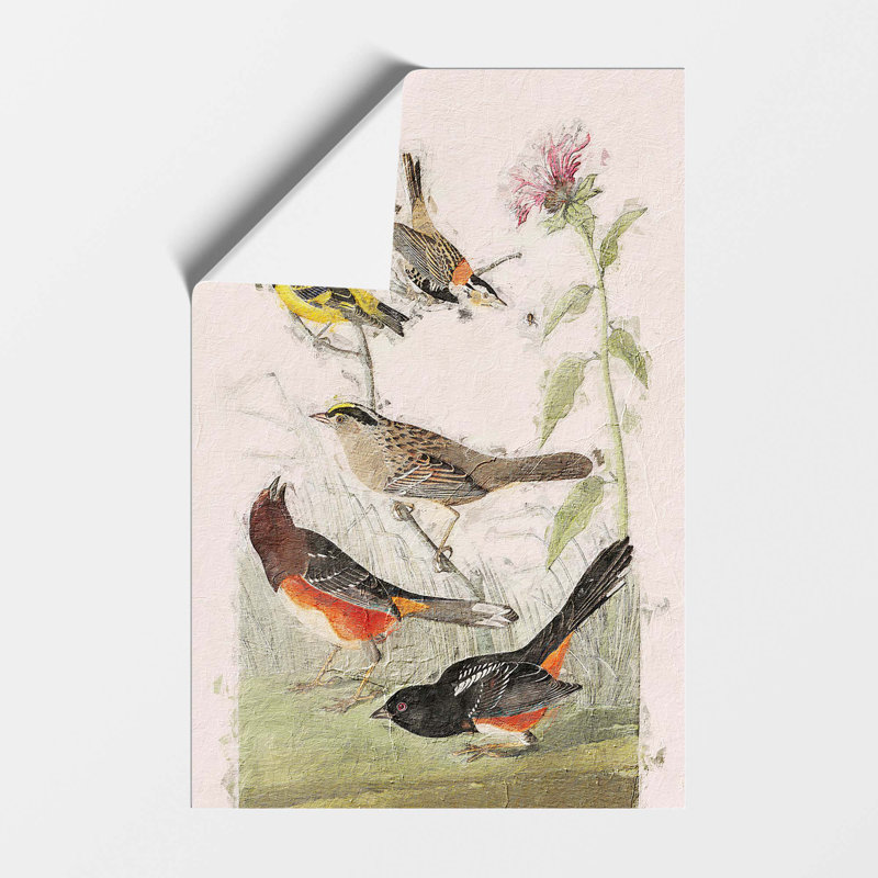 A Selection Of Birds by John Audubon - No Frame Painting, 42 cm H x 29.7 cm W