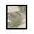 Noyer