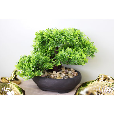 17cm Faux Bonsai Plant in Ceramic Planter