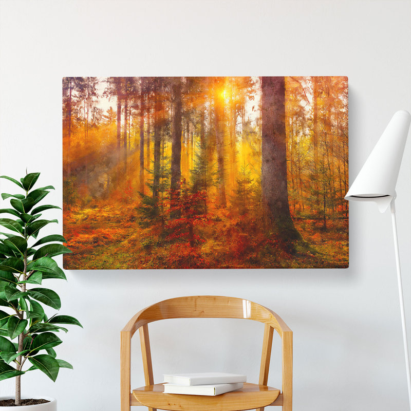 Mystery Forest - Wrapped Canvas Print, 45cm H x 76cm W x 4cm D