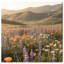 Lavender Hill Print by Oliver Gal-624770477-624770132