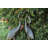 26.75'' H x 13.75'' W Cast Aluminum Rosalez Statue