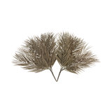 Palm Stems