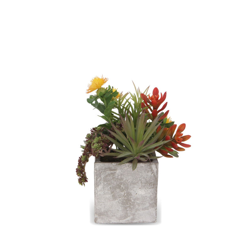 Arrangement floral mixte en pot