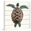« mosaic turtle i », reproduction d’art sur bois blanc-18742841