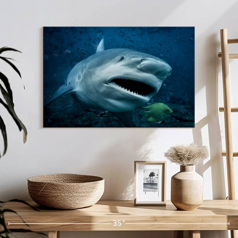 Brampt Bull Shark In Action, 16" H x 24" W