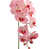 Rose sélectionné