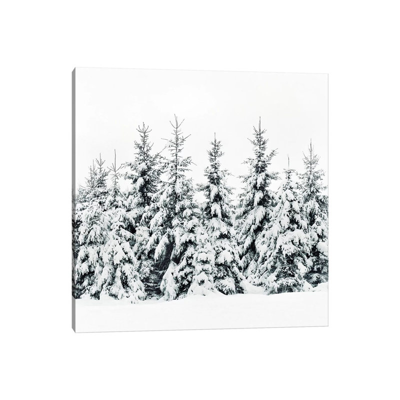 Snow Porn by Tordis Kayma - Wrapped Canvas Print, 45.72cm H x 45.72cm W x 1.905cm D