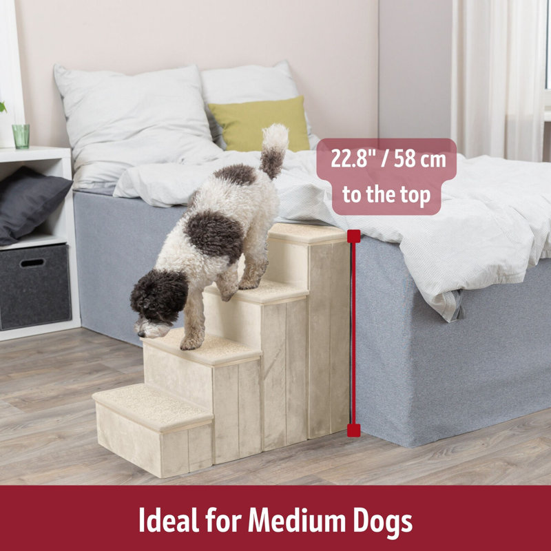 Escalier pour animal en velours pliable à 4 marches avec rangement Trixie, beige, Beige, H 25,6 po x l 15 po x P 22,8 po