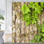 Rideau de douche Ivy Leaves-552141669