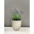 Basel Elegance Indoor Ceramic Plant Pot Kit