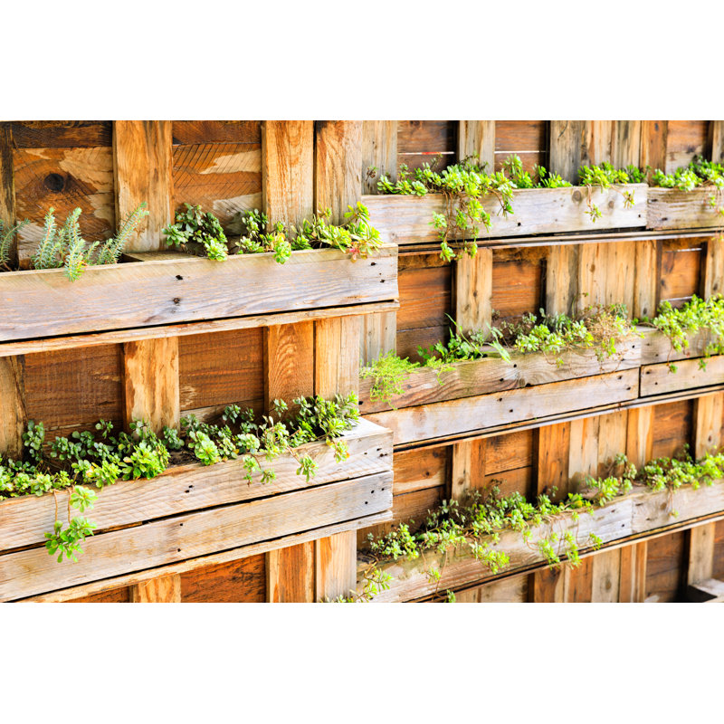 Urban Gardening par Fredfroese, H 24 po x l 36 po