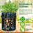 Grow Bags Growing Kit(Set of 6)