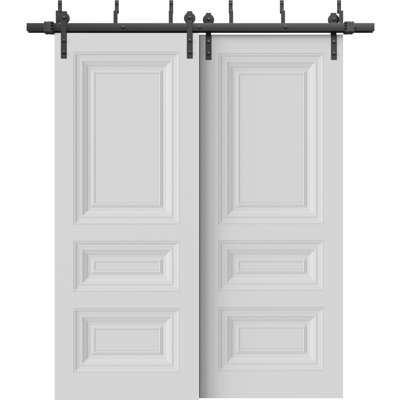 Portes coulissantes de style grange pour placard, 122 x 203 cm (48 x 80 pouces), BASIC 9233, rails blancs de 2 m (6,6 pi), quincaillerie incluse, portes de placard de chambre en bois massif