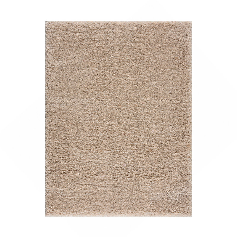 Tapis à poils longs en polyester doux et moelleux pour la chambre du salon, Rectangle 5 pi 3 po x 7 pi