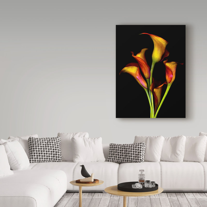 «Calla Lilies 2017» par Dosta, impression sur toile tendue, H 47 po x l 35 po x P 2 po
