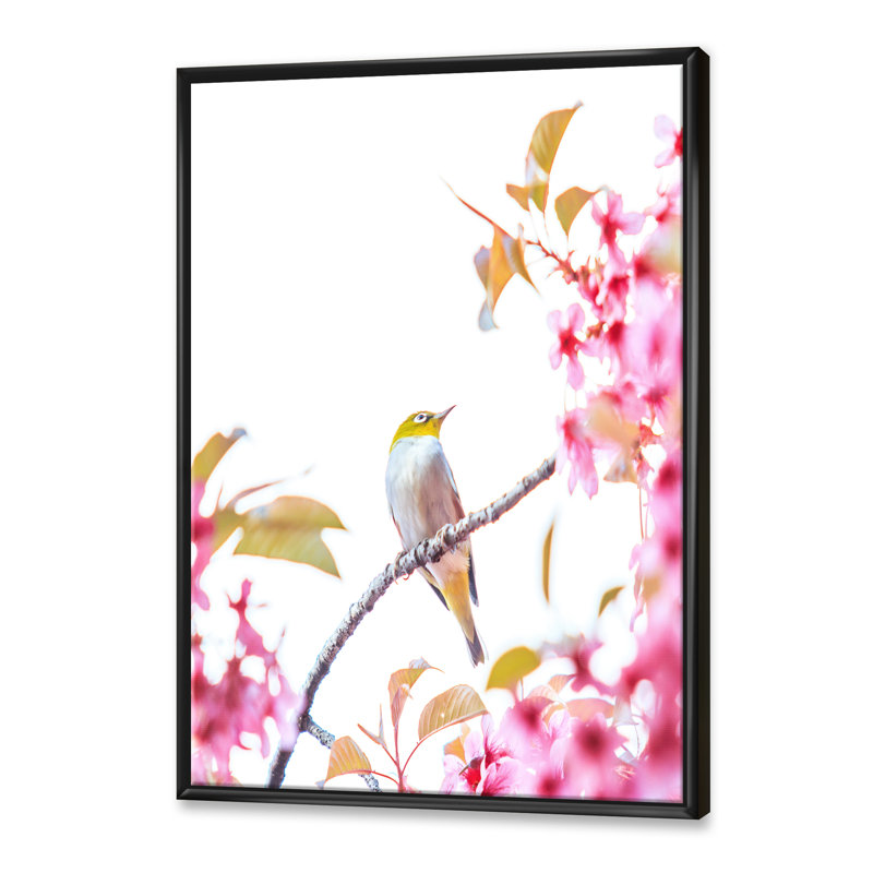 " Bird On Cherry Blossom ", Black Framed, 20" H  x 12" W  x 1" D