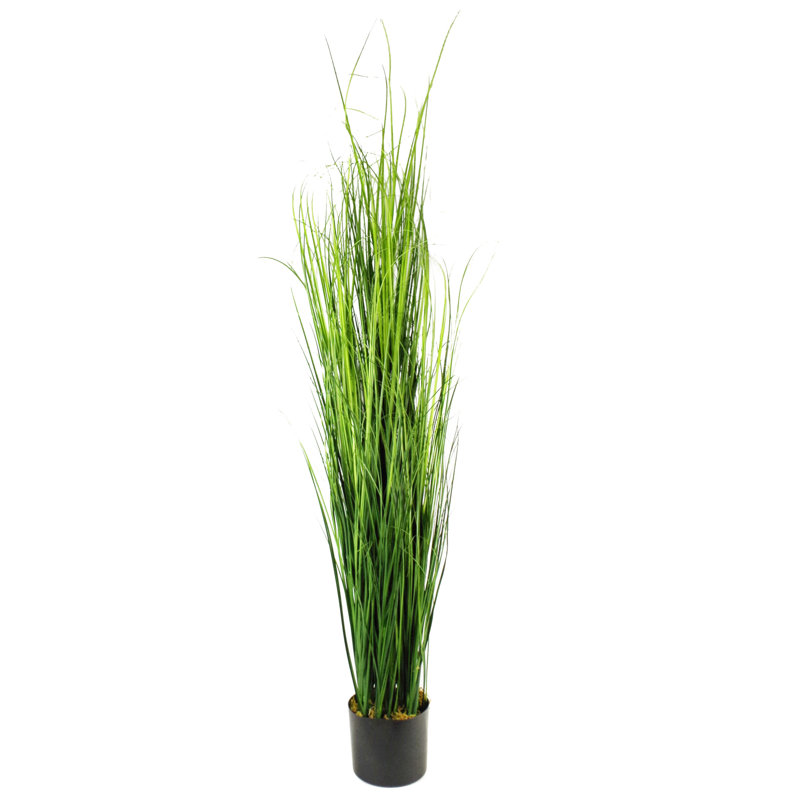 Angeleah 130cm Faux Onion Grass Tree in Ceramic Planter