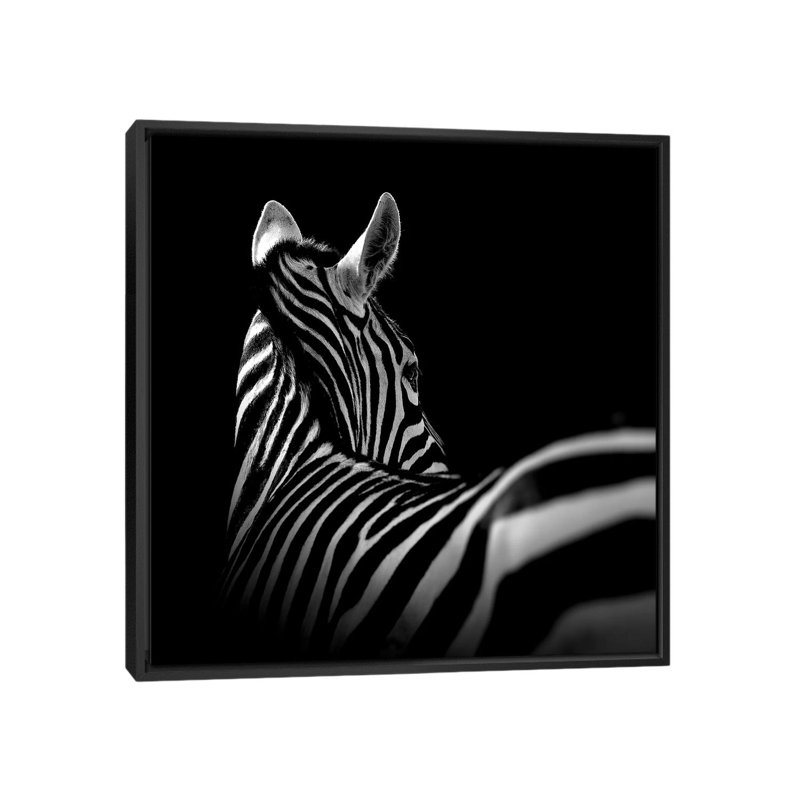 « zèbre i », reproduction de photo sur toile, H 18 po x l 18 po x P 1,5 po, Toile avec cadre noir, Pas de tapis