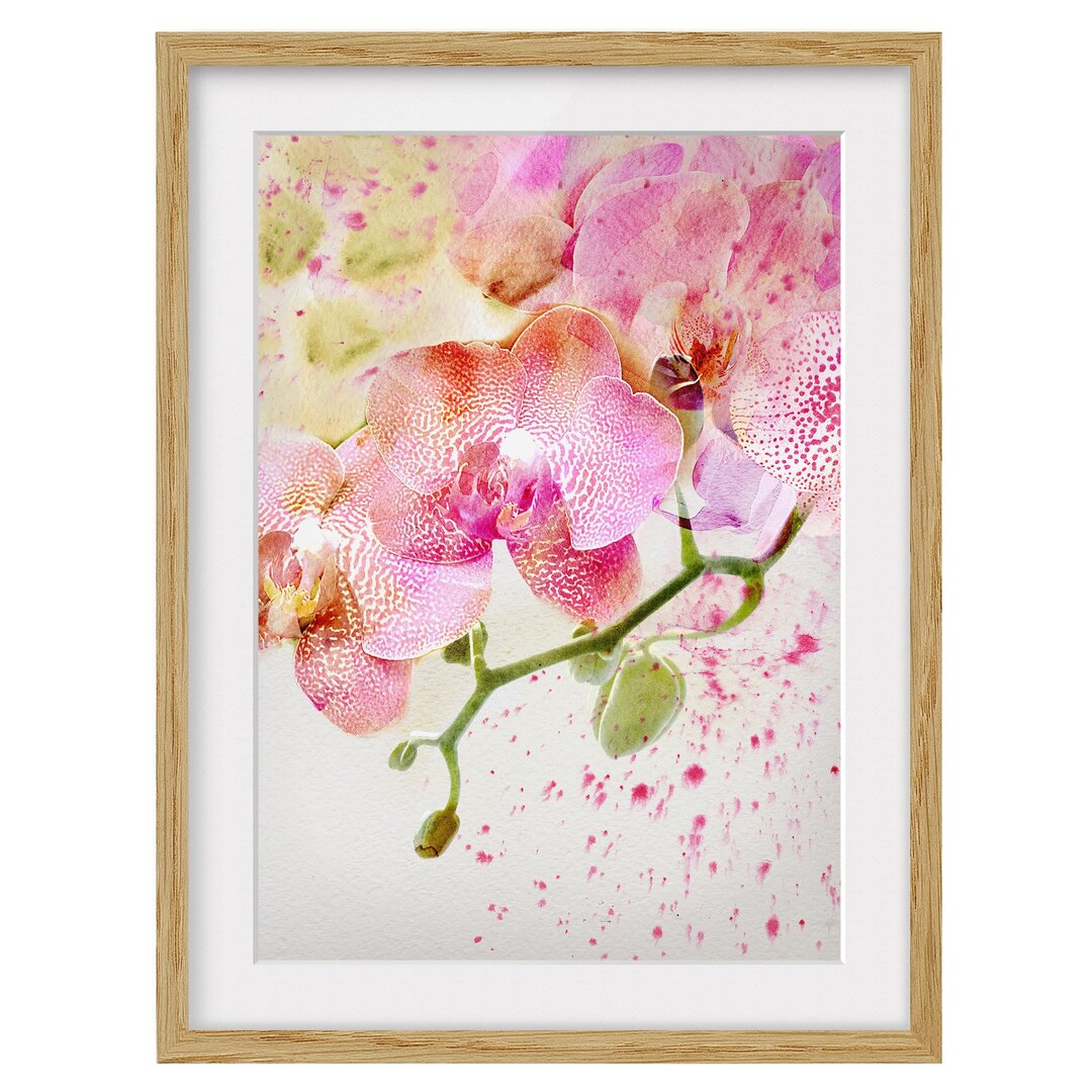 Gerahmtes Papierbild Aquarell Blumen Orchideen