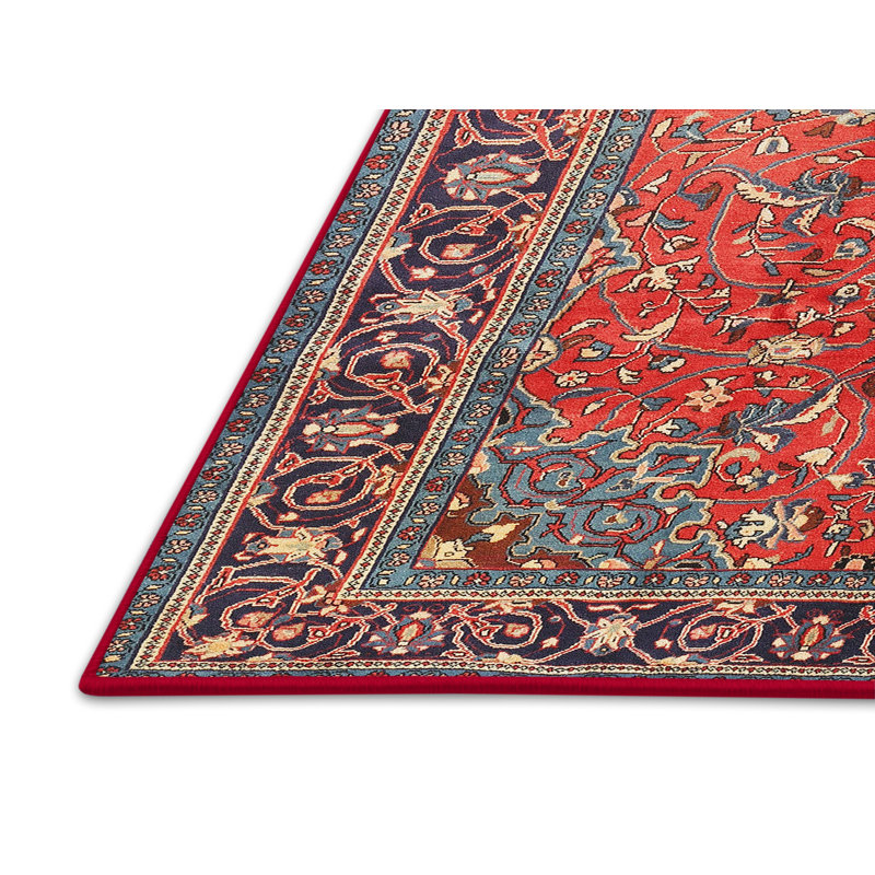 Orlaith Oriental Indoor Rug, Rectangle 5' x 7'