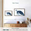 Tortue dans les bleus-1891081444-1891081443