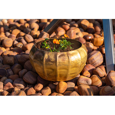 Meansville Metal Pot Planter