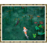 Koi Fish Pond Giclee Print by Soicher Marin Archives