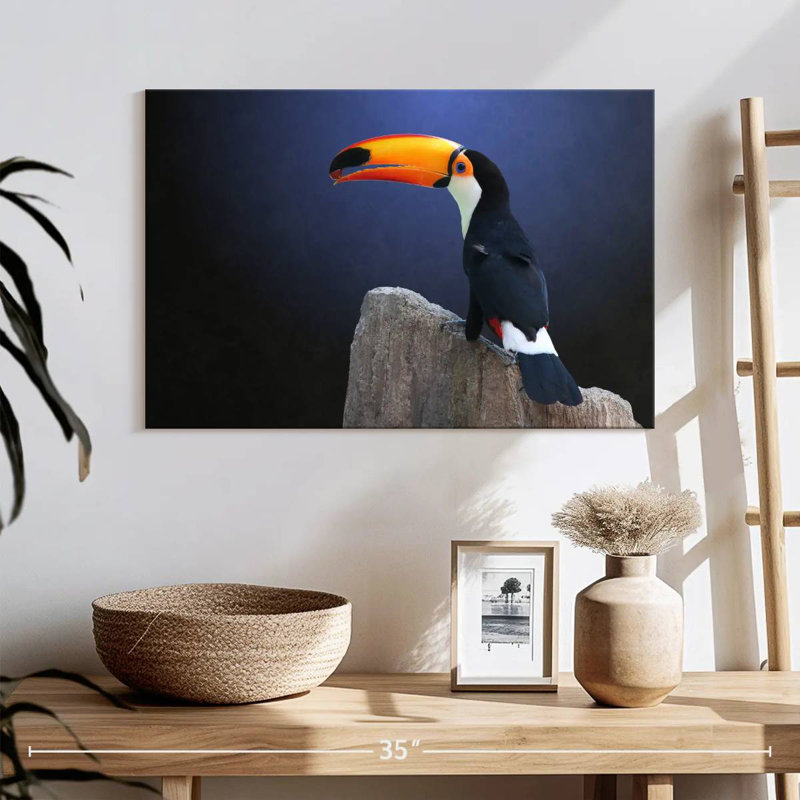 Toucan With Grape, 16" H x 24" W