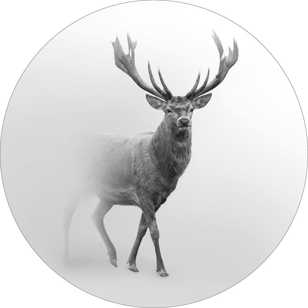 Grey Deer V – Druck auf Floatglas