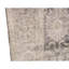 Wool Oriental Area Rug in Ivory