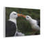 No Frame Print on Canvas-1453578034