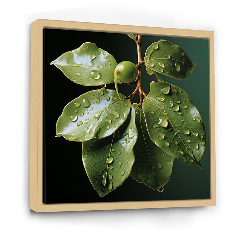 «Light Green Leaves», reproduction sur toile, Cadre naturel flottant, H 36 po x l 36 po x P 1,5 po