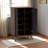 Jovi Two-Door Gray & Dark Brown Finish Shoe Cabinet, 37.95" H X 23.33" W X 13.21" D