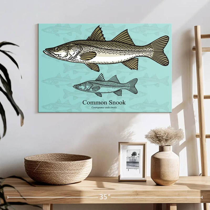 Brampt Common Snook, 16" H x 24" W