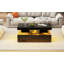 Coffee Table with Storage
