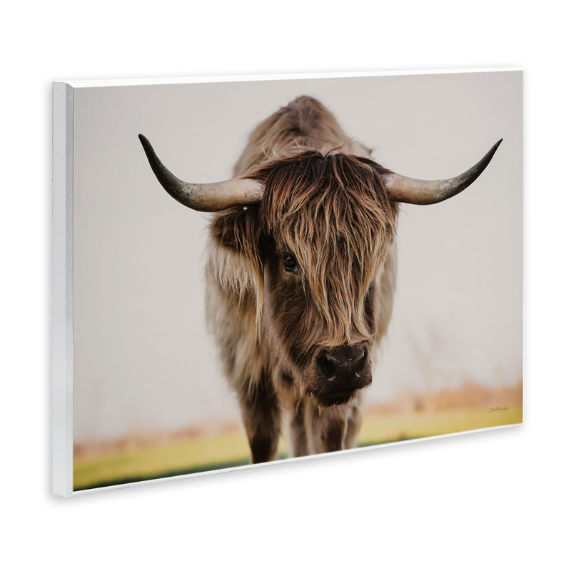 Art mural de Longhorn avec regard perçant, design par Dakota Diener, H 13 po x l 19 po