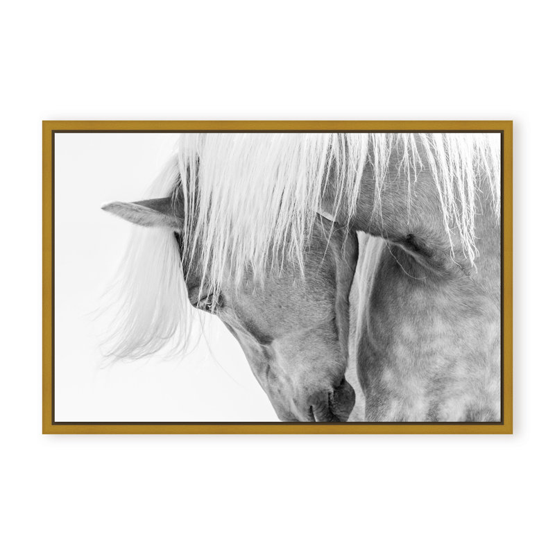 Nature Inspired Halflinger Portrait by  - Picture Frame Photograph on Paper, 24" H x 36" W x 1.125" D, Black