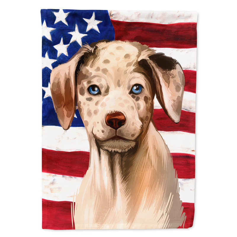 Polyester à 2 côtés 28 x 40 po drapeau maison, Berger des Carpates