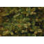 The Holiday Aisle® Downswept Douglas Fir Pencil Slim Tree with Clear Lights-533169820
